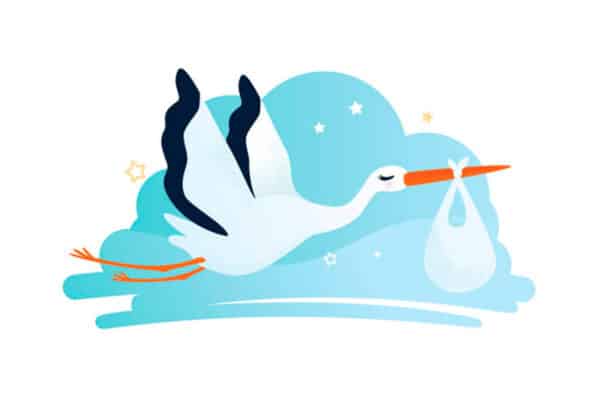 Cigogne avec un nouveau né