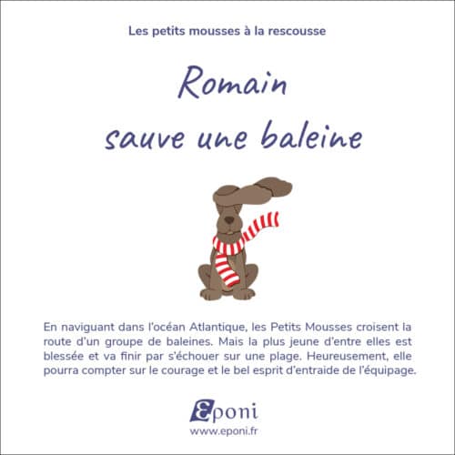Résumé livre personnalisé avec une baleine
