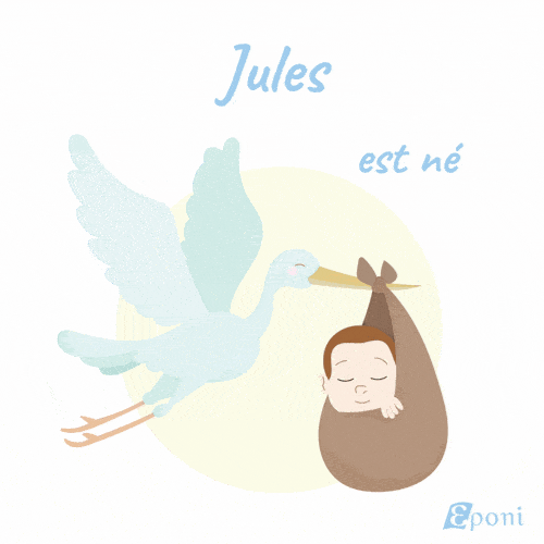 Personnalisation du livre de naissance pour jeunes parents