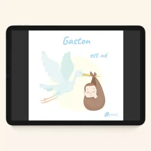 Version e-book du livre de naissance personnalisé