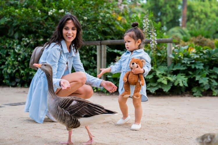 Maman et sa fille de 3 ans découvrant les animaux